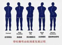 1672733233488090913.png image.png