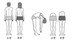 1672733262769020813.png image.png