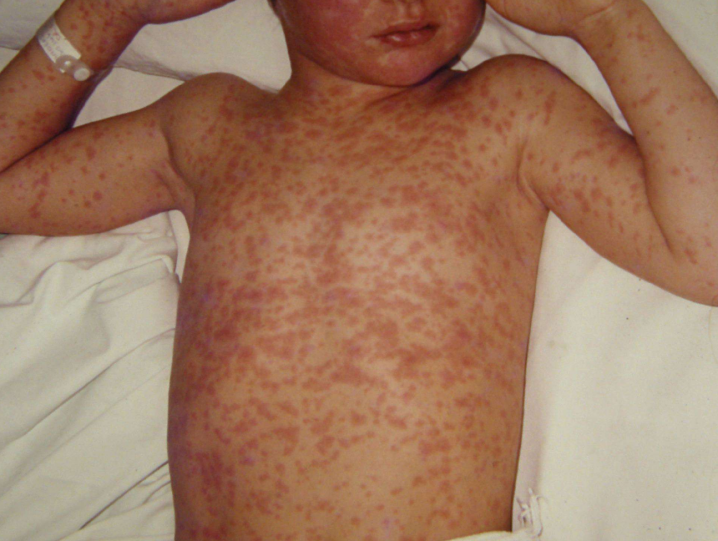 1776046995904044221.png image.png